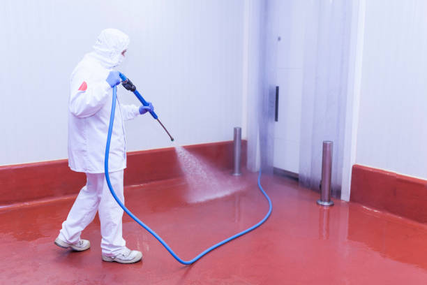 Best Fleet Vehicle Washing  in Barrington, NJ